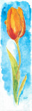 Acuarelas Flores Vertic II Prints by Faro 