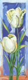 2 Vertical Flowers Prints by Cruz 