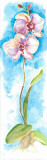 Acuarelas Flores Vertic III Posters by Faro 