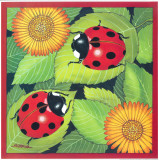 Ladybird II Posters by Urpina 