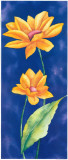 Amber Flowers III Prints by Villalba 