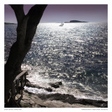 Silver Sea Posters af Carl Ellie