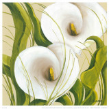 White Flower Poster by L. Romero