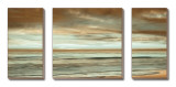 The Surf Kunstdrucke von John Seba