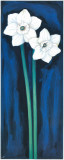 Narcissus In Blue I Affiches par Ferrer 