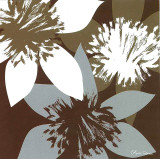 Unknown Prints by Olivia Cosneau