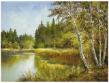 Secret Pond Prints by Helmut Glassl