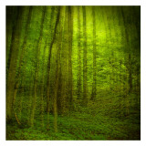 Natural Look III Posters por Jean-François Dupuis
