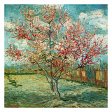 Pêcher En Fleurs (Souvenir De Mauve) Affiches par Vincent van Gogh