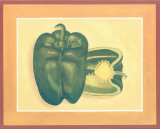 Green Pepper Prints by Urpina 