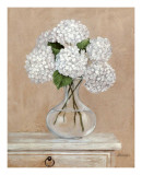 Floral IV Prints by Bravo 