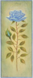 Rose In Blue II Affiches par Lewman Zaid