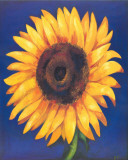 Great Sunflower Posters by Ferrer 
