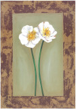Flowers In Brown Frame II Prints by Ferrer 