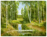 Birch Grove Near Pokrovskoje Prints by Osipov 