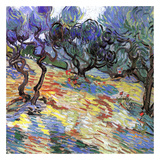 Les Oliviers Kunstdrucke von Vincent van Gogh