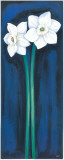 Narcissus In Blue II Art by Ferrer 