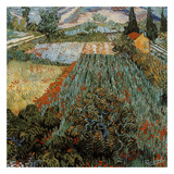 Champs Aux Coquelicots Affiches par Vincent van Gogh