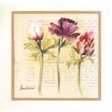 3 Fleurs Prints by Pascal Cessou