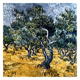 Oliveraie Art par Vincent van Gogh