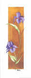 Seduction II Posters por Villalba