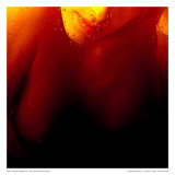 Woman Revelation VIII Prints by Jean-François Dupuis