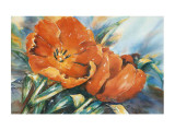 Red Tulips Prints by Hanneke Floor