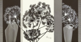 Delicate Twigs Print by Franz Heigl