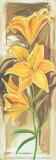 3 Yellow Flowers Print by Cruz 