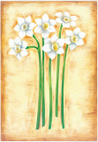 Flowers In Movement IV Prints by Ferrer 