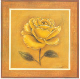Yellow Roman Rose Affiches par Lewman Zaid