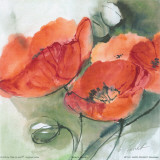 Mohnbluten Prints by Marta Peuckert