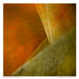 Femine Abstract III Láminas por Jean-François Dupuis Femine Abstract III Láminas por Jean-François Dupuis