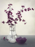 Royal Blossom II Pósters por Franz Heigl