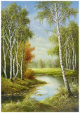 Birches Prints by Helmut Glassl