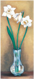 Narcissus II Prints by Ferrer 