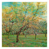 Verger Avec Pruniers En Fleurs Planscher av Vincent van Gogh Verger Avec Pruniers En Fleurs Planscher av Vincent van Gogh