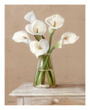 Floral II Posters by Bravo 