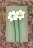 Flowers In Brown Frame III Print by Ferrer 