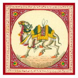 Tibetan Camel Pôsters
