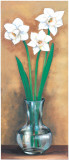 Narcisse I Affiches par Ferrer 