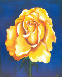 Great Golden Rose Affiche par Ferrer 