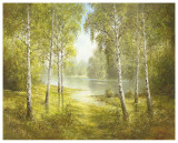 Pond Spinka Prints by Helmut Glassl