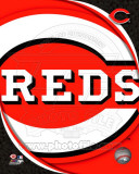 2011 Cincinatti Reds Team Logo Photo