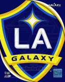 2011 LA Galaxy Team Logo Foto