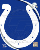 Indianapolis Colts 2011 Logo Foto