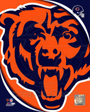 Chicago Bears 2011 Logo Foto