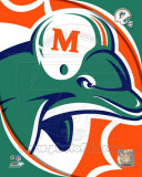 Miami Dolphins 2011 Logo Photo