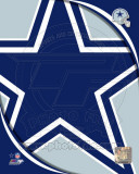 Dallas Cowboys 2011 Logo Photo