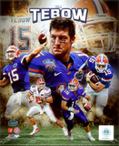 Tim Tebow University of Florida Gators Portrait Plus Foto